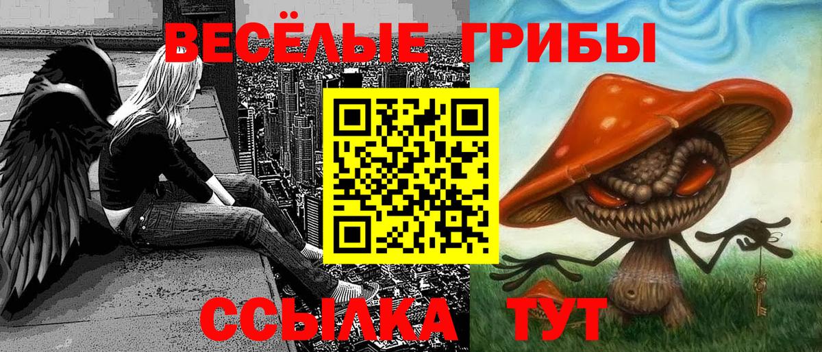 Псилоцибиновые грибы мицелий  Вход с VPN  Галлюциногенные грибы Psilocybine cubensis  что такое наркотик  Ртищево 