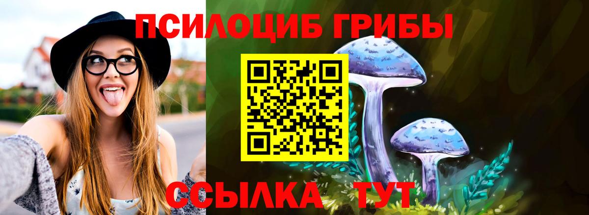 Псилоцибиновые грибы Magic Shrooms Ртищево